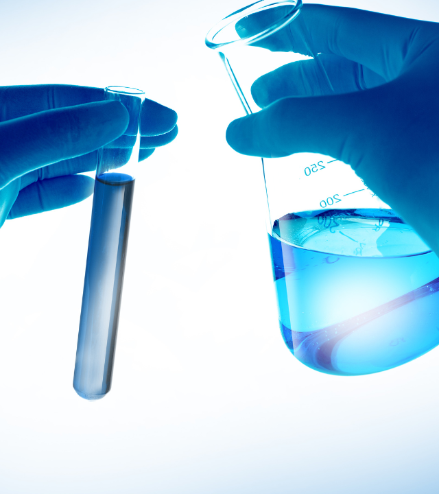 Untitled design (19)